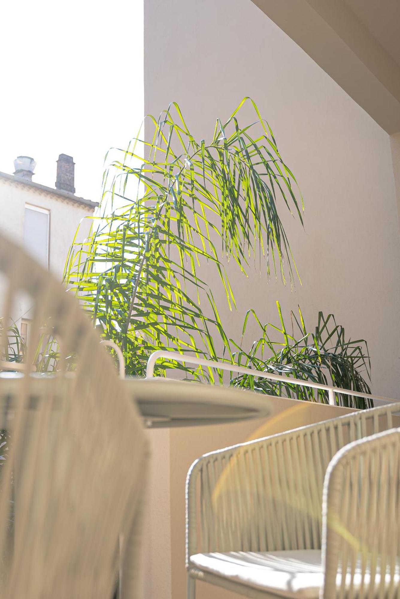Studios Raffines Avec Terrasses - Plages, Ville Et Gare A Pied - Maison Raphael Saint-Raphaël Eksteriør billede